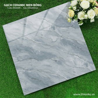 Gạch Hà Thanh 60x60cm TK6669N Bóng