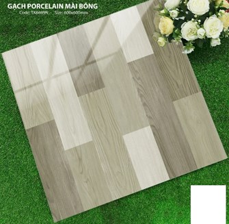 Gạch Hà Thanh 60x60cm TK6699N Bóng