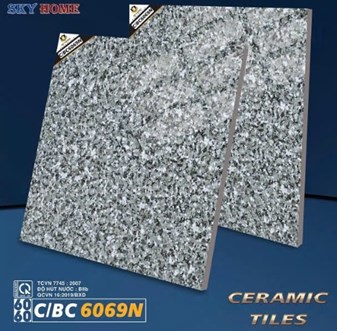 Gạch men bóng Hà Thanh 60x60cm BC6069N
