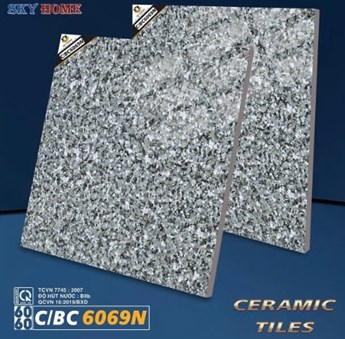 Gạch men bóng Hà Thanh 60x60cm BC6069N