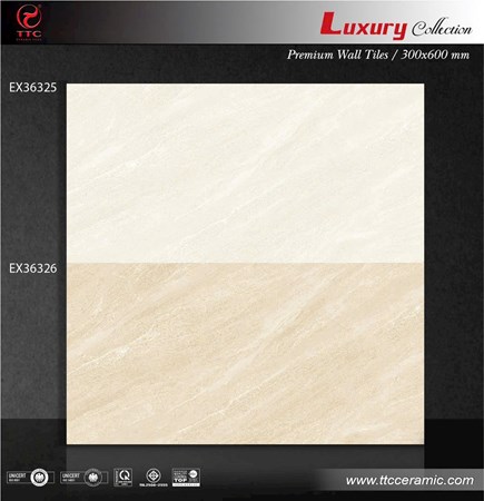 Gạch TTC 30x60cm đá mờ EX36325 - EX36326