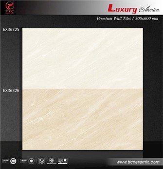 Gạch TTC 30x60cm đá mờ EX36325 - EX36326